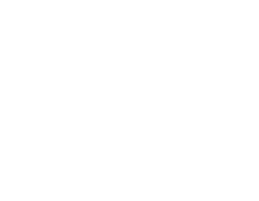 G2 Concept